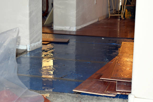 Professional Basement Water Removal technician working in Milan, IL
